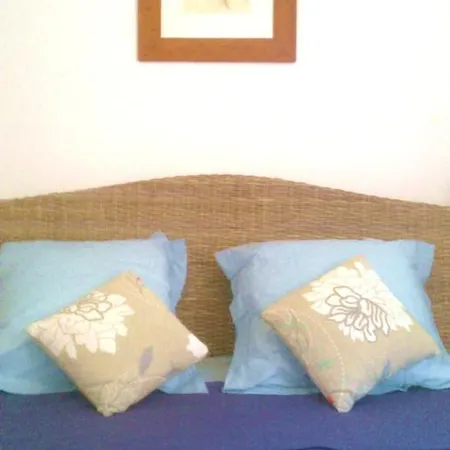 Casa Di L'alivetu Holiday home *