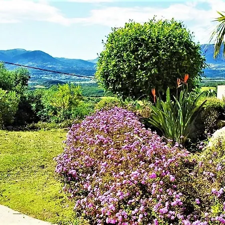 Casa Di L'alivetu Holiday home