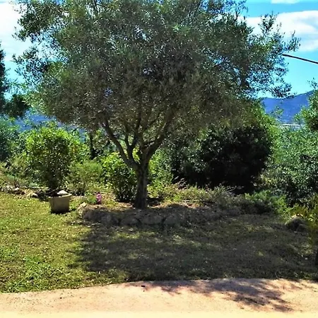 Casa Di L'alivetu Holiday home
